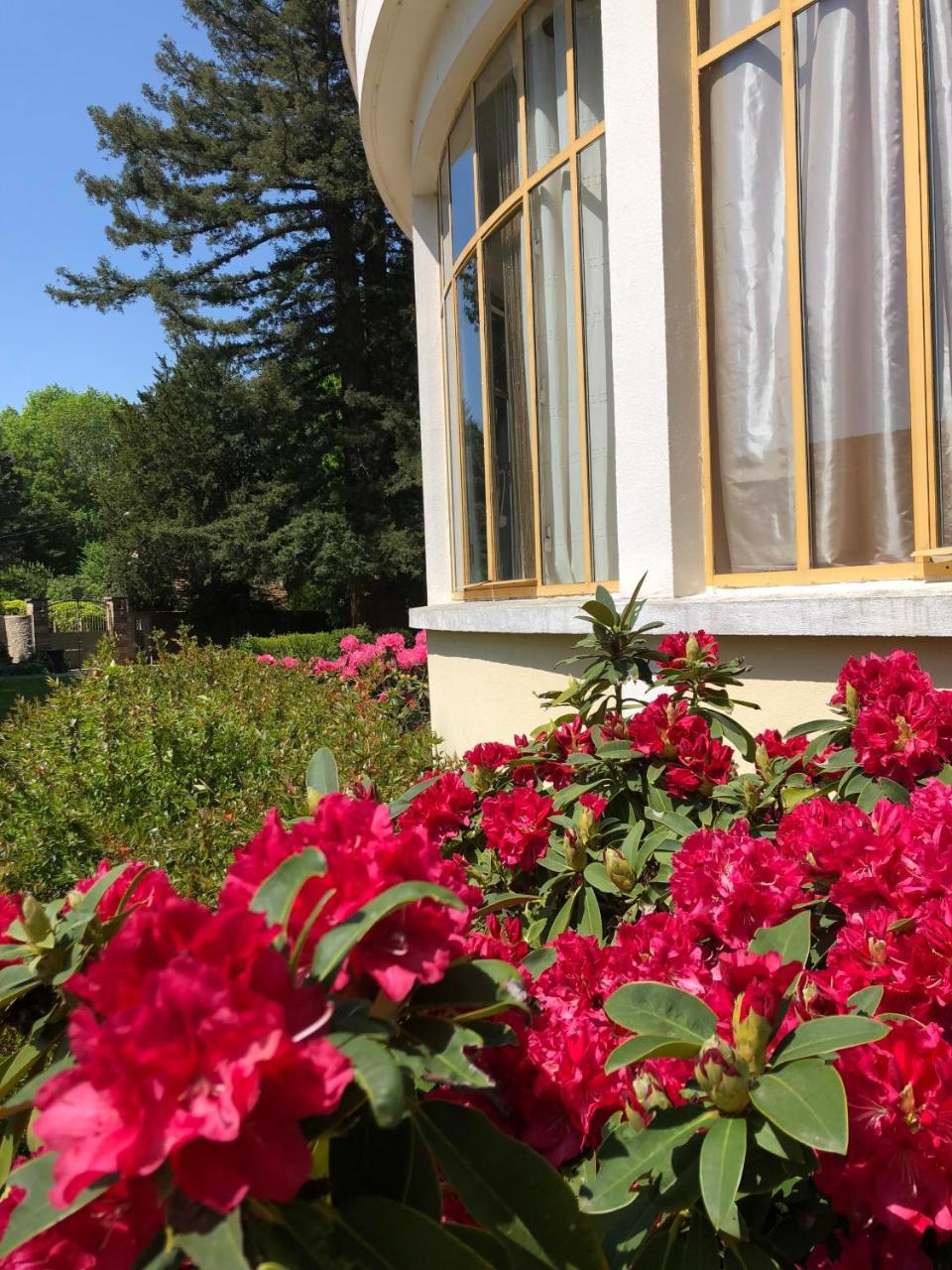 La Villa Rochette Forges-les-Bains Exterior photo
